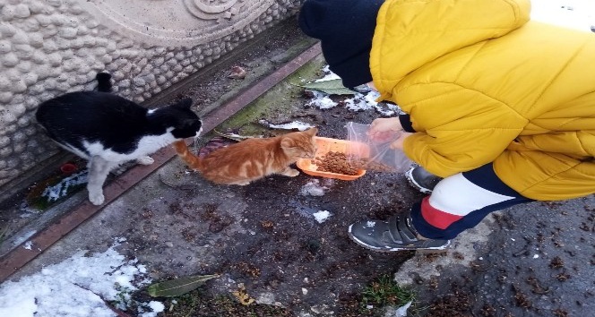 Karlı havada sokak hayvanlarını minik elleriyle beslediler