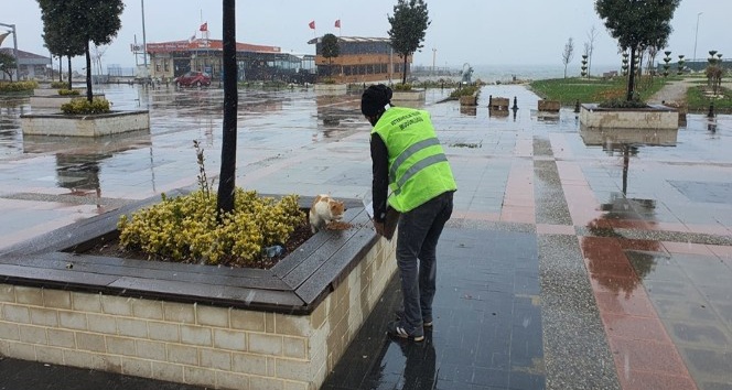 Zabıta yaptığı hareketle iç ısıttı