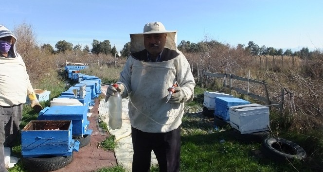 Burhaniye’de arı kovanlarında varroa mücadelesi başlatıldı