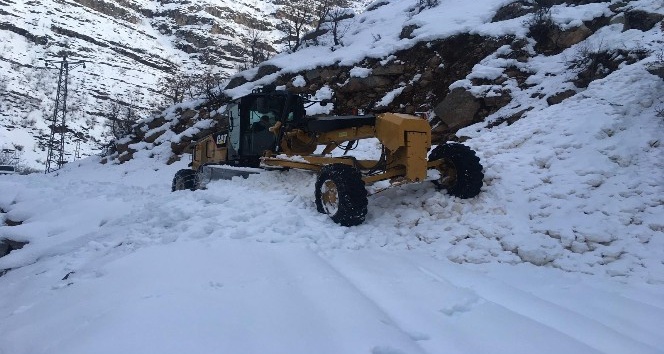 Şırnak’ta çığın düştüğü bölgelerde yol açma çalışmaları sürüyor