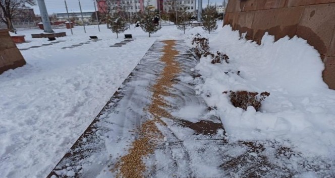 Iğdır’da kar yağışının ardından yaban hayvanları için doğaya yem bırakıldı
