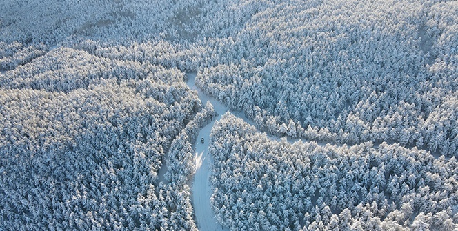 Çatak Tabiat Parkı yaban hayatı ile ziyaretçilerin ilgisini çekiyor