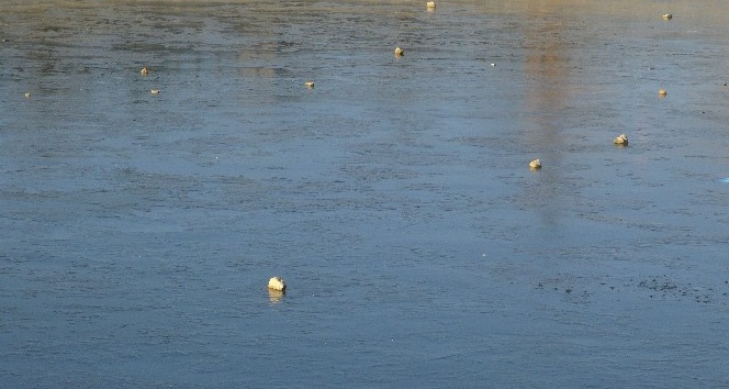 Gercüş’te gölet buz tuttu