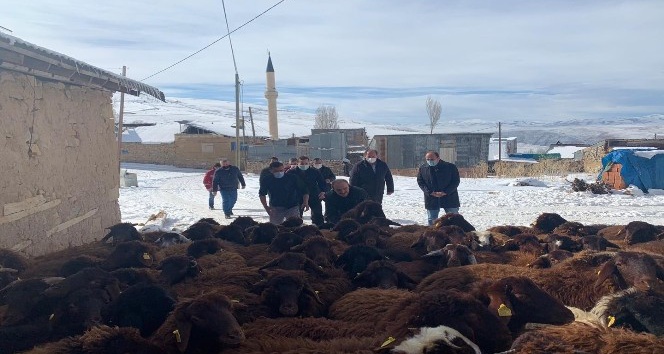Bayburt’ta &quot;Köyümde Yaşamak İçin Bir Sürü Nedenim Var Projesi&quot; kapsamında çiftçilere koyunları teslim edildi