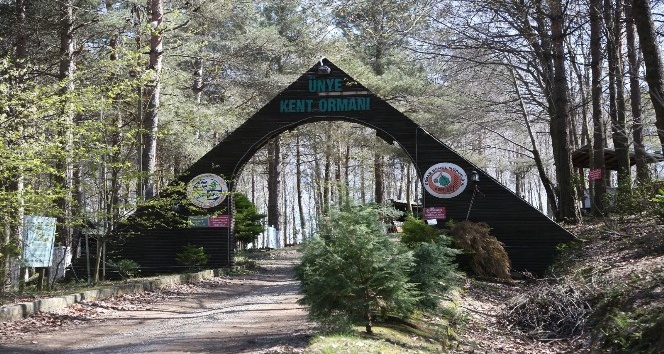 Denize en yakın orman turizme kazandırılıyor