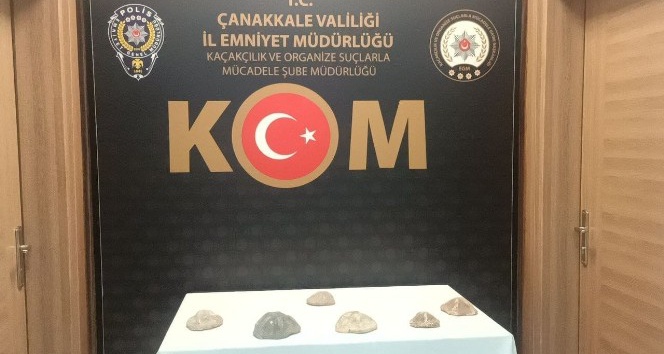 Çanakkale’de 6 milyon değerinde denizyıldızı fosilleri ele geçirildi
