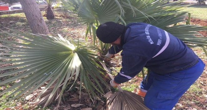 Kilis’te sokaklara kış bakımı
