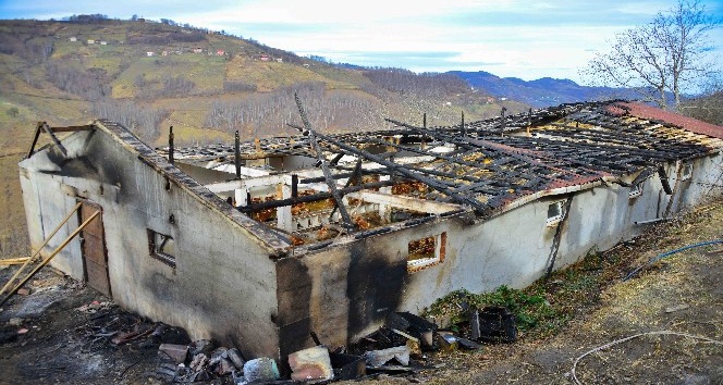 Ordu’da yangın: 400 tavuk telef oldu