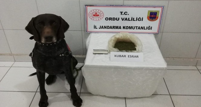 Ordu’da uyuşturucu satışı yapan 2 torbacı yakalandı