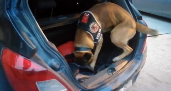 Osmaniye’de 2,5 kilo esrar ele geçirildi