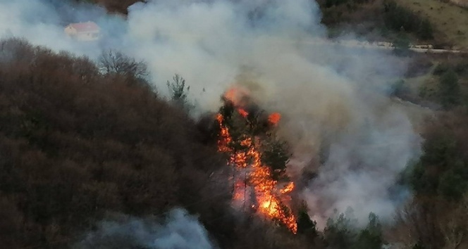 Sinop&#039;taki orman yangını söndürüldü