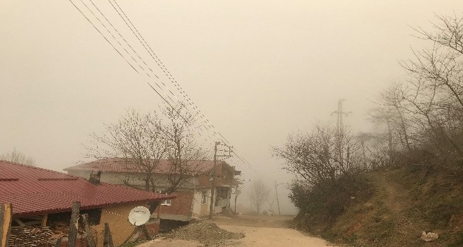 Ordu’dan sis manzarası