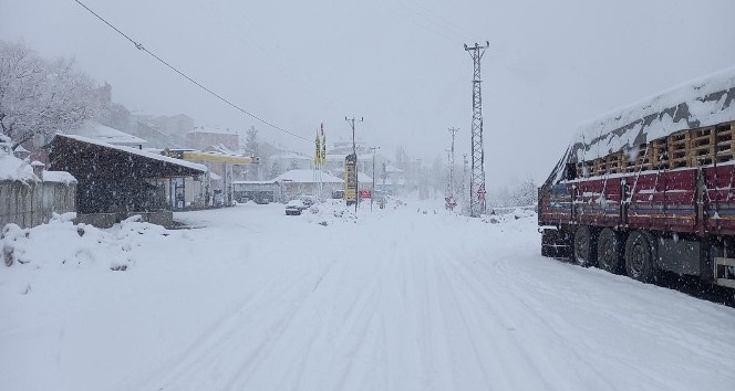 Tunceli’de kar bastırdı, 160 köy yolu kapandı