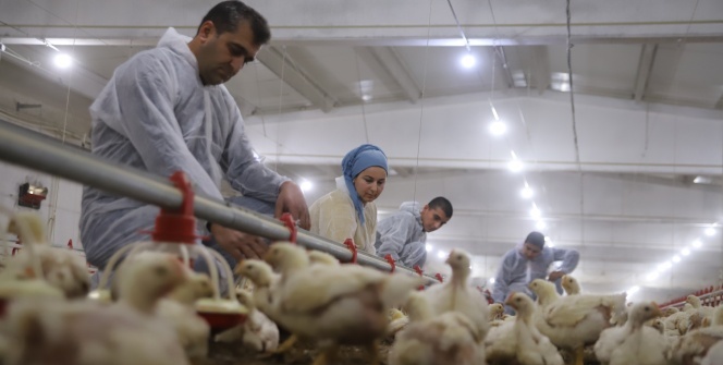 Devletten aldığı destekle çiftlik sahibi oldu, şimdi ailece çalışıyorlar