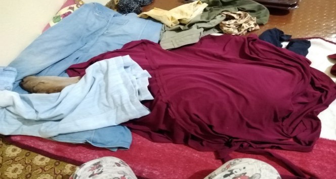 Şırnaklı çiftçi, yeni doğan buzağıyı evine alıp bebek gibi beslemeye başladı
