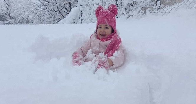 Tunceli’de kar, 181 köy yolunu ulaşıma kapattı