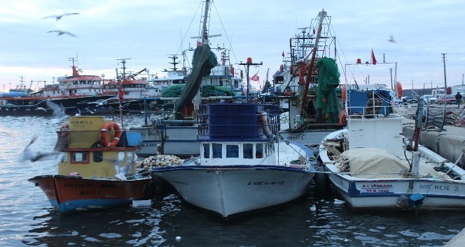 İğneada’da balıkçılar limana boş kasalar ile dönüyor