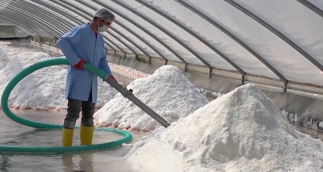 Dünyada nadir bulunan mineral deposu tuz 9 ülkeye ihraç ediliyor