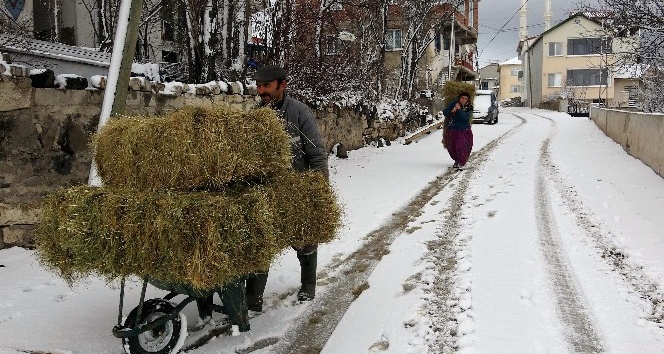 Besicilerin kış ayında zorlu mesaisi
