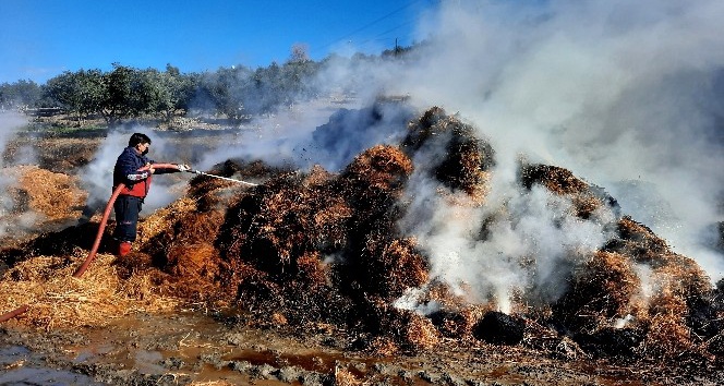 Hayvan çiftliğinde çıkan yangında tonlarca saman kül oldu