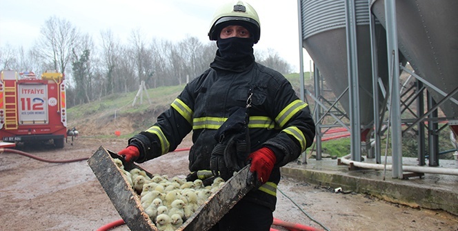 56 bin civcivin bulunduğu çiftlikteki yangında duygulandıran görüntüler