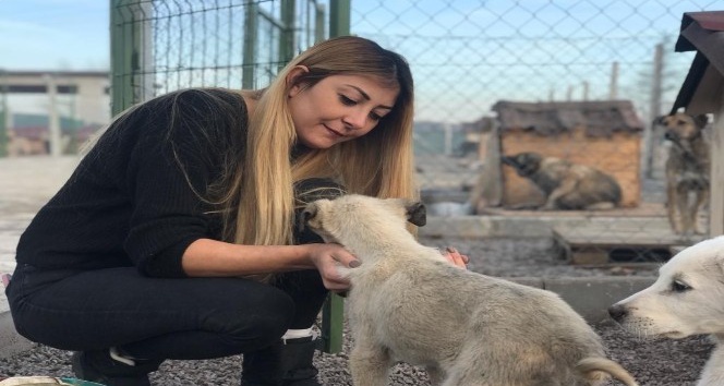 ’Can dostlarının’ yaşama tutunmaları için mücadele ediyor