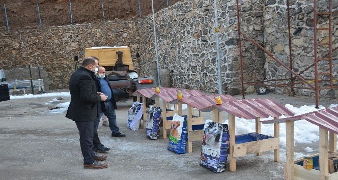Uludere’de sokak hayvanları için barınak yapıldı