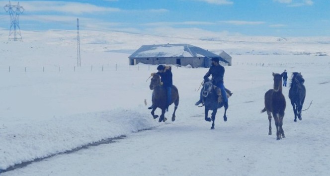 Kar üstünde atlar yarışa böyle hazırlanıyor