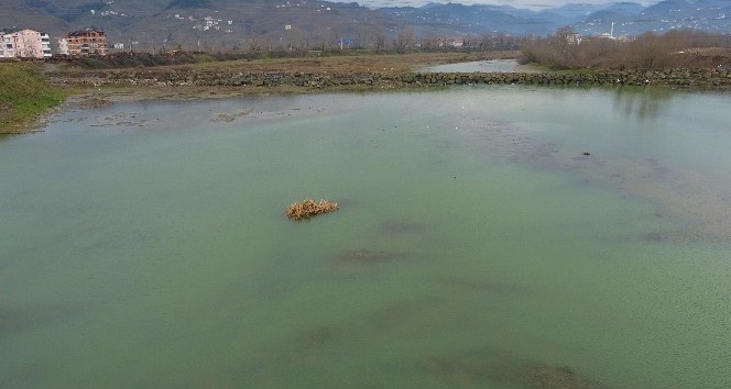 Dünya sıcaklığındaki 1,6 derecelik artış felaketlere yol açıyor
