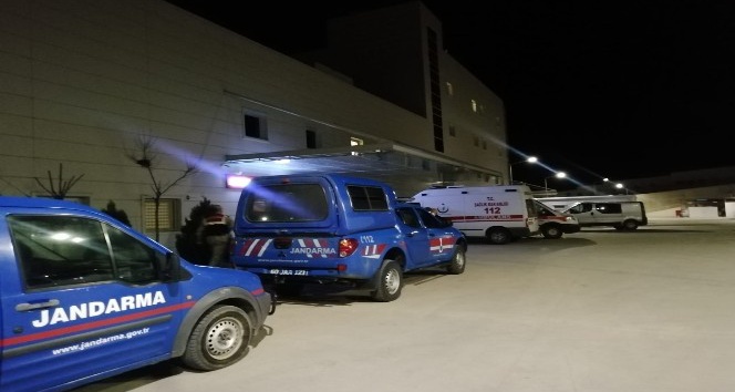 Ağaç keserken canından oldu