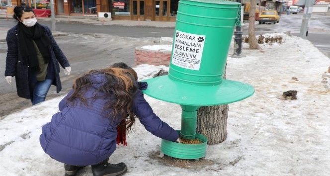Kars’ta belediye sokak hayvanlarına yiyecek bıraktı