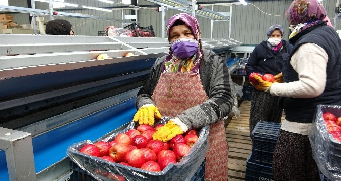Depoda 2.80 TL’ye satılan elma market ve pazarlarda 8-10 TL