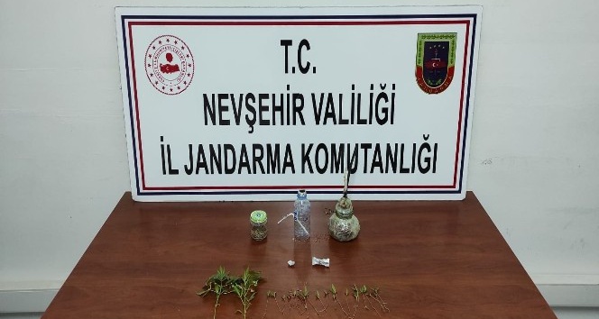 Jandarmadan uyuşturucu operasyonu