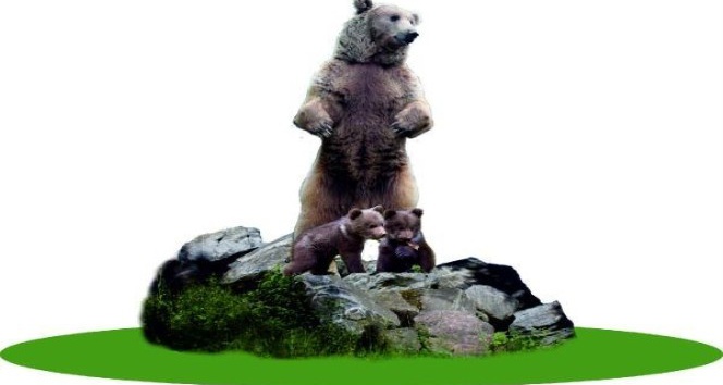 Bolu’ya 10 metrelik bozayı heykeli yapılacak