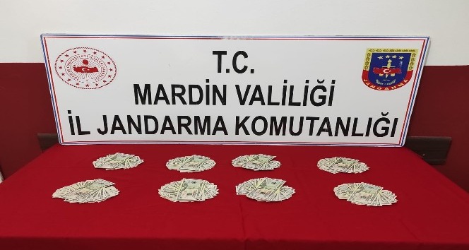 Mardin’de durdurulan araçta sahte 20 bin dolar ele geçirildi