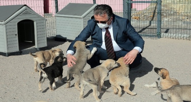 Başkan Savran, Hayvan Kasabasında incelemelerde bulundu
