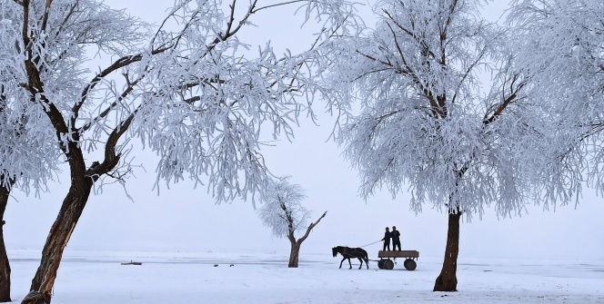 Kırağı tutan ağaçlar kartpostallık görüntüler oluşturdu