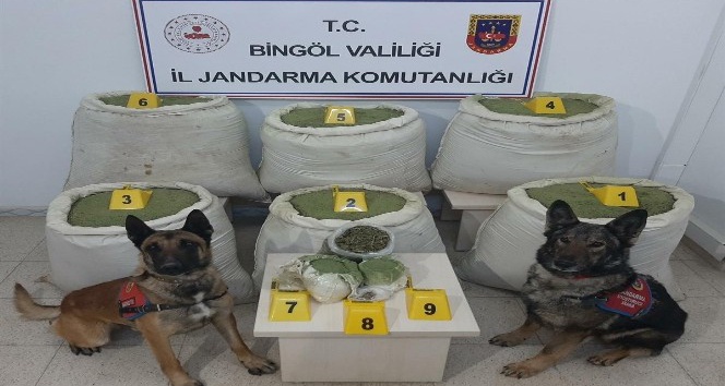 Bingöl’de 218 kilo uyuşturucu ele geçirildi
