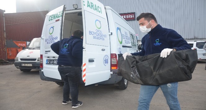Ordu’da başı gövdesinden ayrılmış 2 günlük ölmüş bebek bulundu