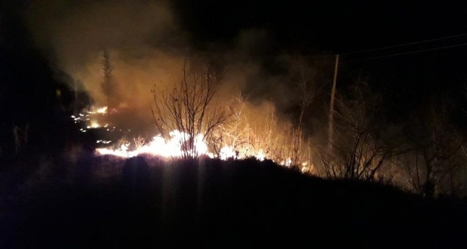Tokat’taki örtü yangınında 2 hektarlık alan zarar gördü