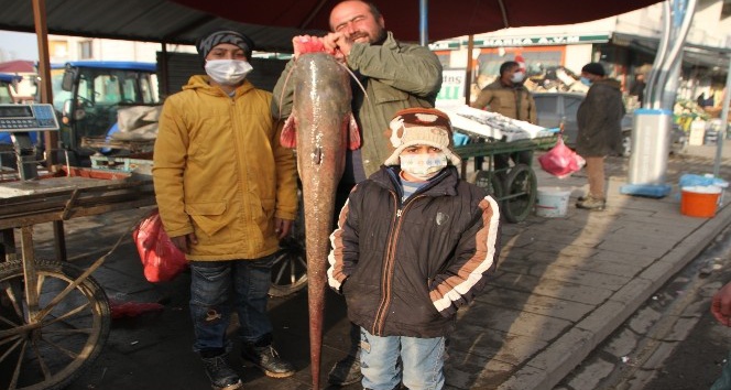Murat Nehrinde 1,5 metre boyunda balık avladı