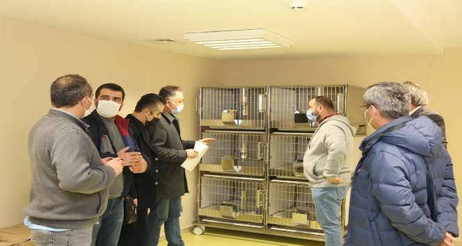 KBÜ DETUM ekibi ‘MEDİTAM’ ve ‘REMER´de incelemelerde bulundu