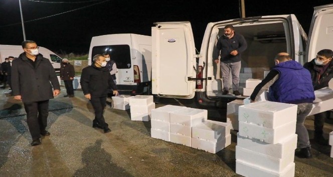 Balık mezadında ’vali’ sürprizi
