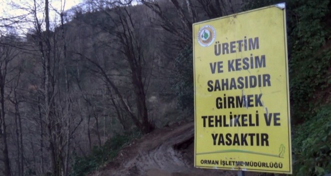 Köylü ormanına sahip çıktı, usulsüz kesim durduruldu