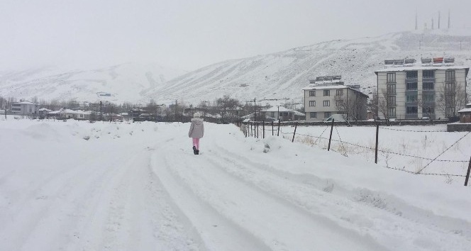 Bingöl Karlıova’da bahar havası yerini kar yağışına bıraktı