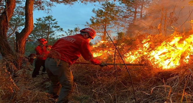 Doğu Karadeniz Bölgesi son dönemde örtü ve orman yangınları ile gündeme geliyor