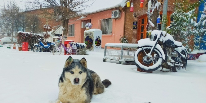 Edirne'de kar yağışı kartpostallık görüntüler oluşturdu