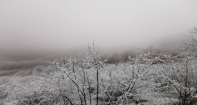 Ordu’da beklenen kar etkili oldu