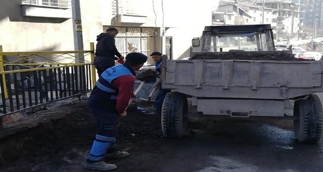 Uludere Belediyesi cadde ve sokakları dezenfekte etti