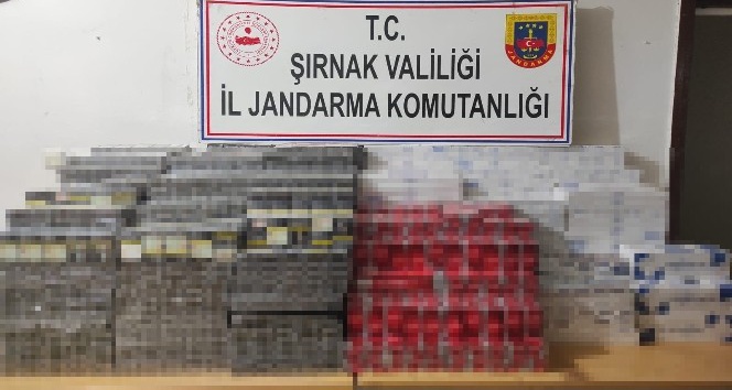 Şırnak’ta kaçakçılık operasyonu: 35 gözaltı